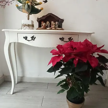 Casa Otello Appartement *